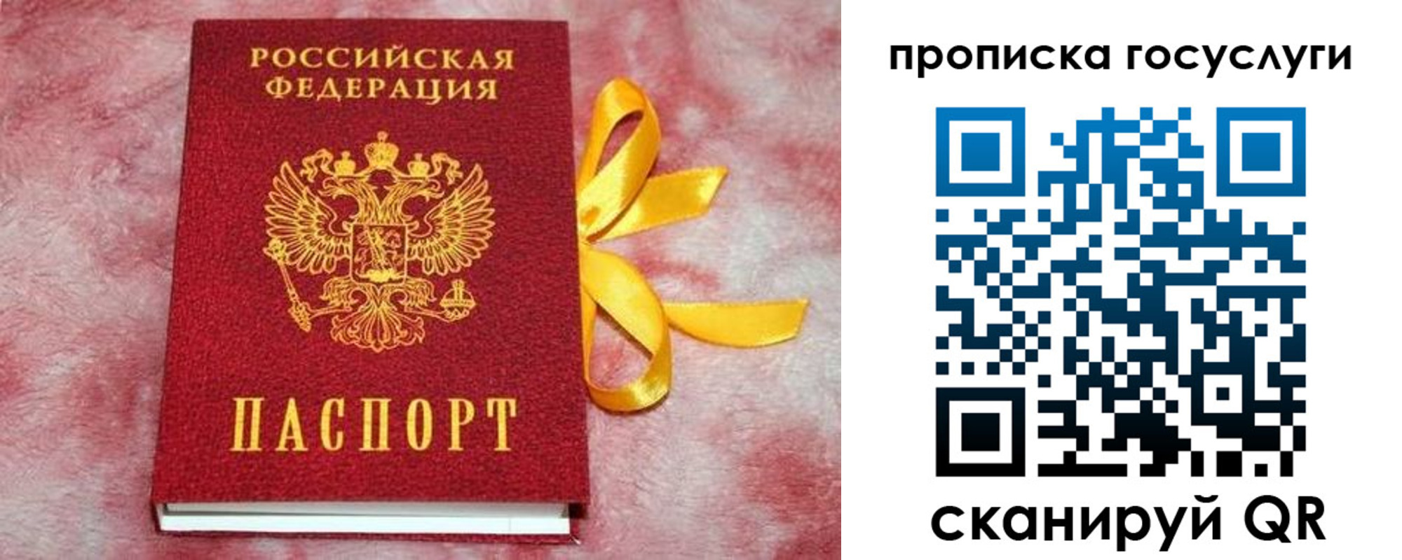 прописка законно в Долгопрудном